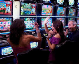 6686下载2024最新版