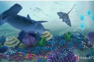 6686下载2024最新版